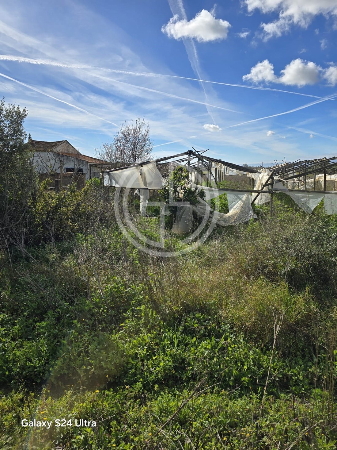 Land in Faro (Se e Sao Pedro), Algarve, Portugal 3 - 15365965