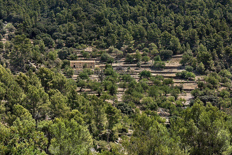 Country House in Alaro, Balearic Islands, Spain 3 - 16403259