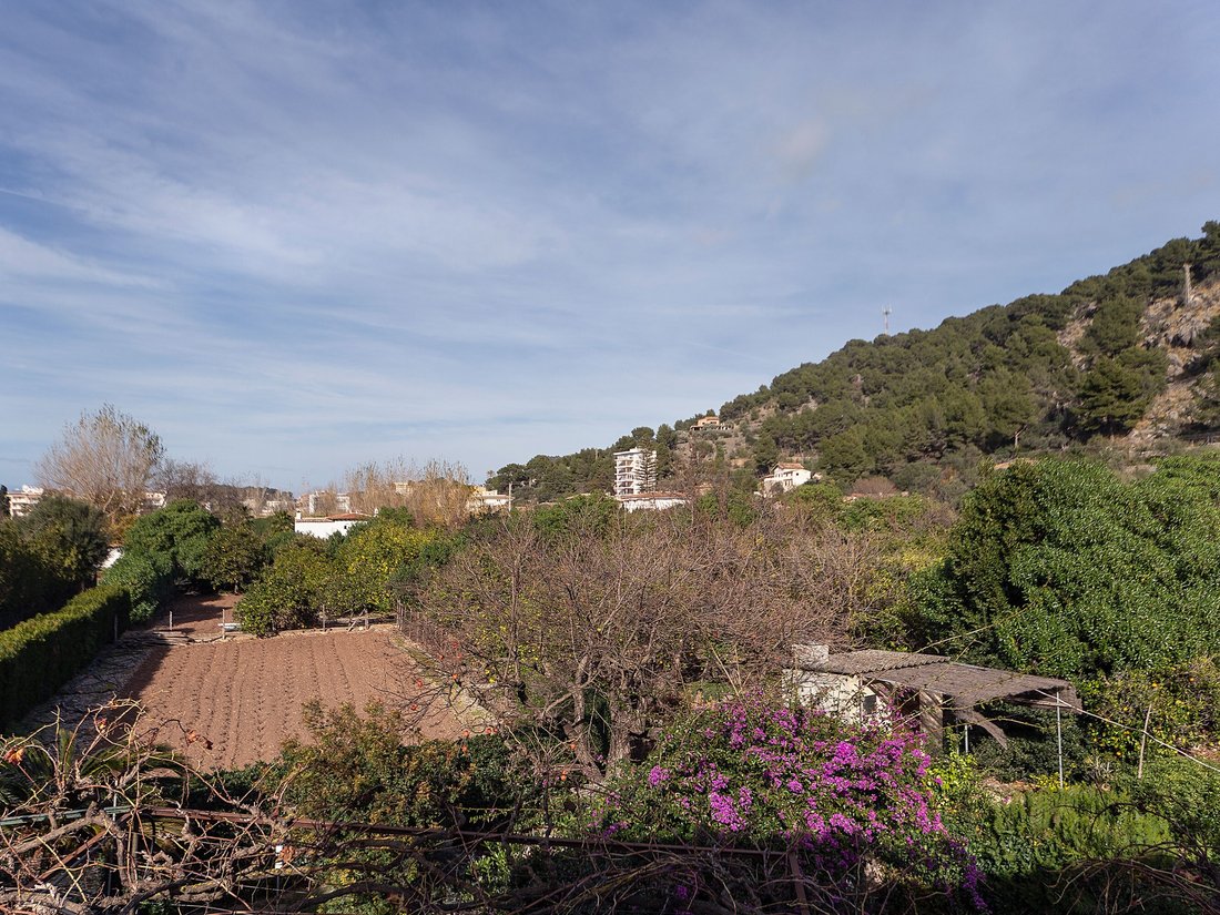 Country House in Soller, Balearic Islands, Spain 5 - 11761588