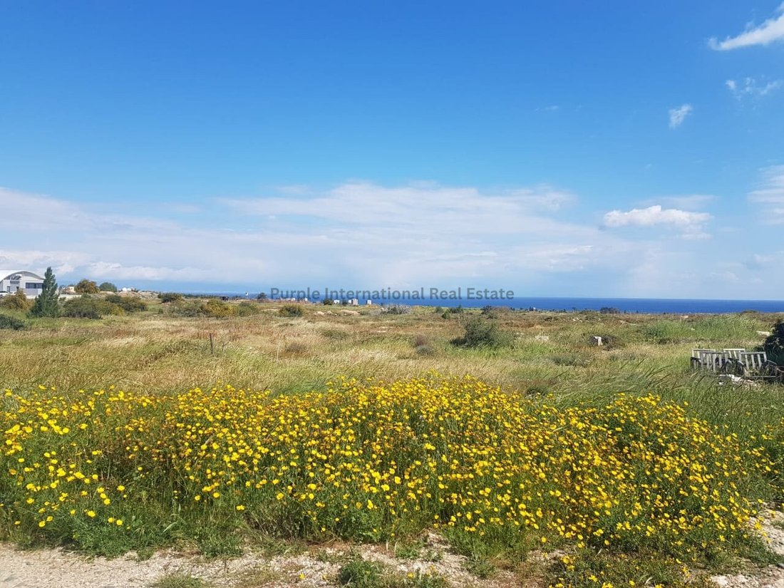 Paralimni, Famagusta, Cyprus 2 - 16712100