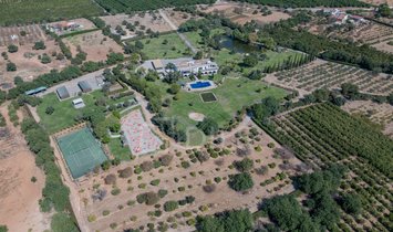 Finca in Luz de Tavira e Santo Estevao, Algarve, Portugal 1