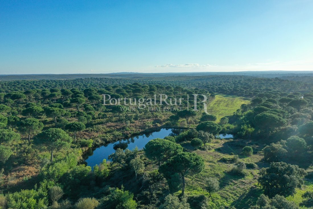 Estate in Vendas Novas, Évora District, Portugal 2 - 15047246