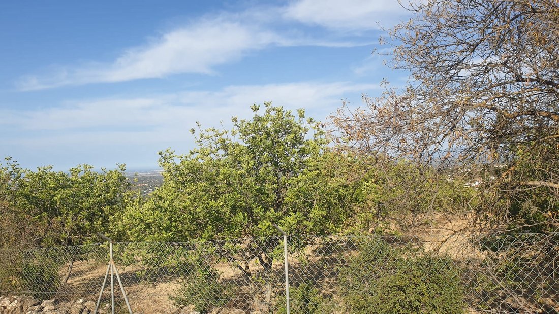 Land in Loule (Sao Sebastiao), Algarve, Portugal 5 - 14715034