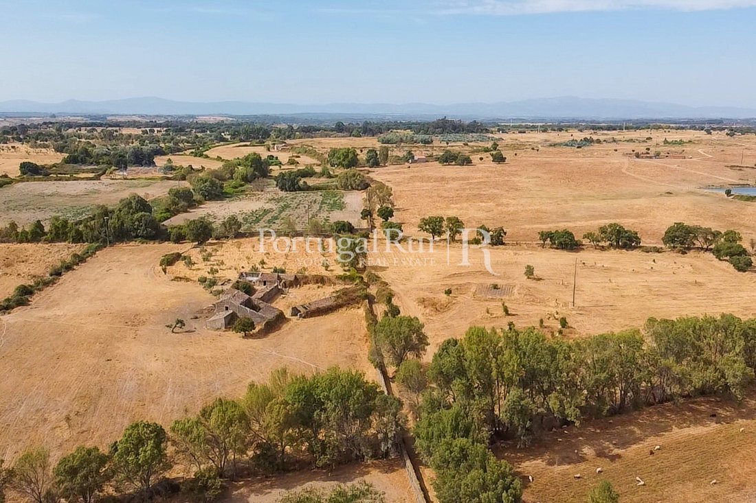Estate in Castelo Branco, Castelo Branco District, Portugal 3 - 16543263