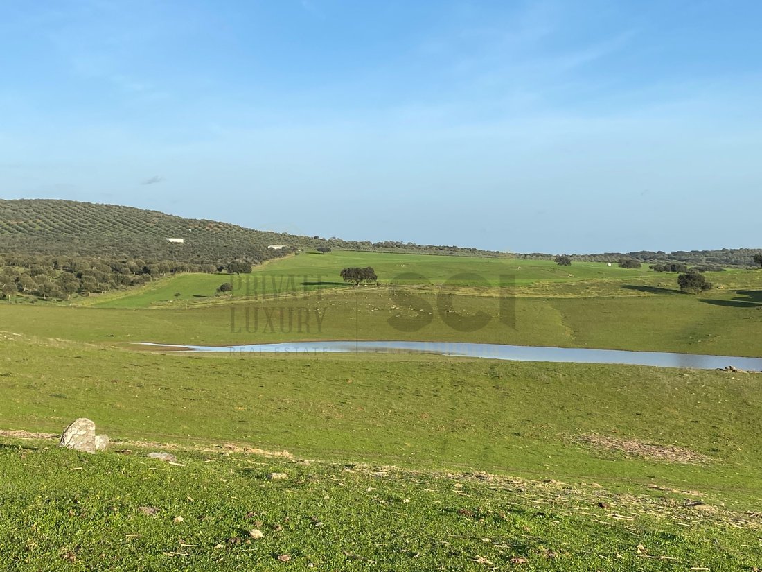 Land in Vila Verde de Ficalho, Beja District, Portugal 1 - 15306895