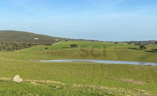 Terreno en Vila Verde de Ficalho, Distrito de Beja, Portugal 1