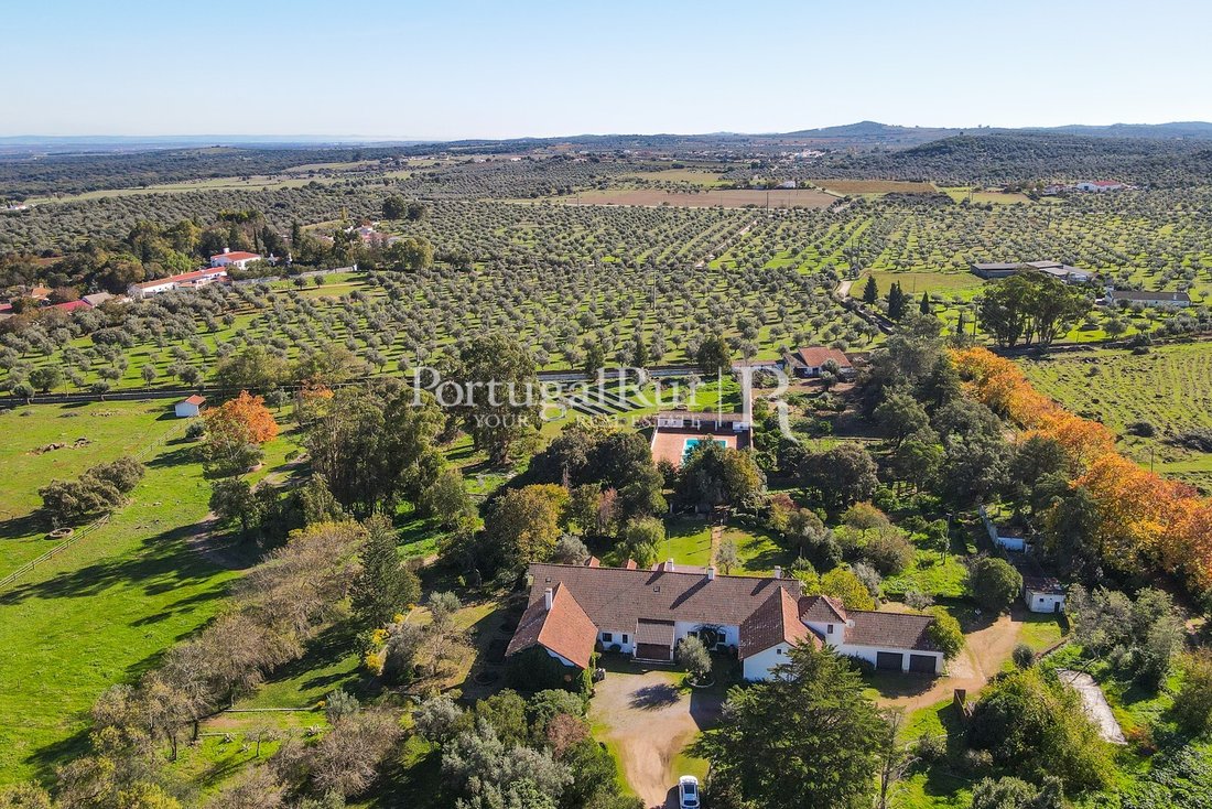 Finca in Torre de Coelheiros, Évora District, Portugal 5 - 14876442