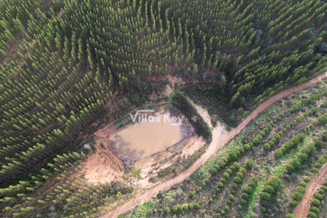 Estate in Sao Salvador e Santa Maria, Beja District, Portugal 1 - 12475667