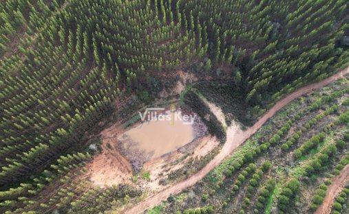 Domaine à Sao Salvador e Santa Maria, Beja, Portugal 1