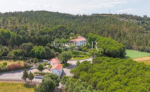 Finca in Abrantes (Sao Vicente e Sao Joao) e Alferrarede, Distrikt Santarém, Portugal 1