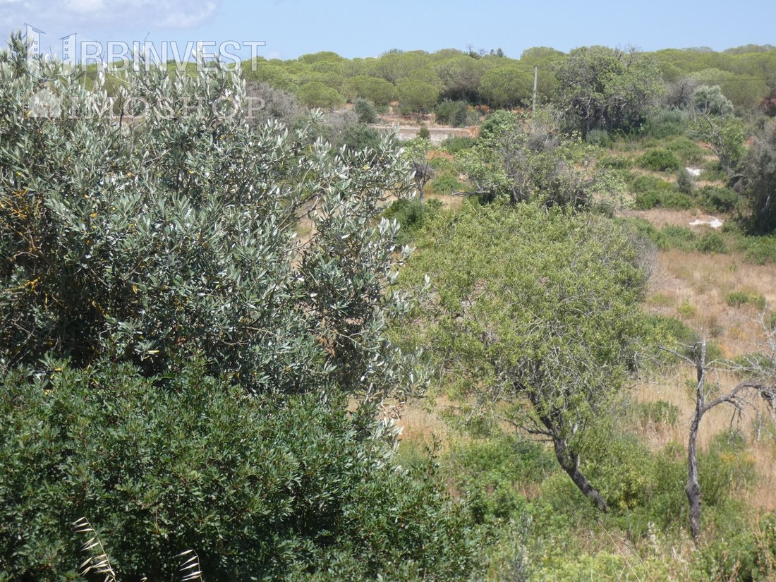 Land in Ferragudo, Algarve, Portugal 2 - 14899533