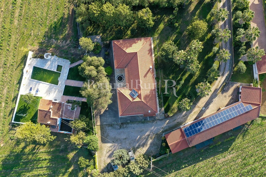 Finca in Vidigueira, Beja District, Portugal 4 - 14199530