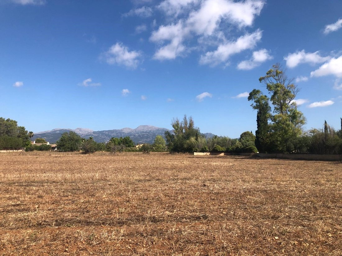 Land in Inca, Balearic Islands, Spain 2 - 16472641