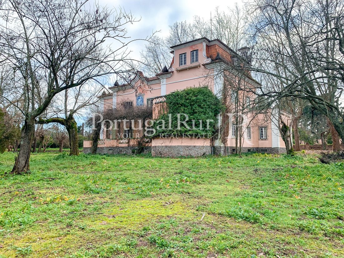 Finca in Abrantes (Sao Vicente e Sao Joao) e Alferrarede, Santarem District, Portugal 1 - 11289441