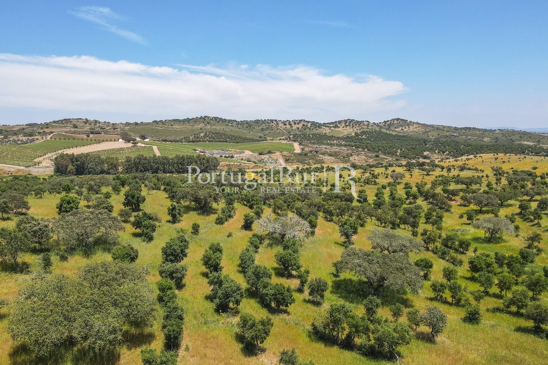 Land in Corval, Évora District, Portugal 5 - 15487088