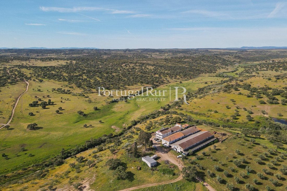 Estate in Monforte da Beira, Castelo Branco District, Portugal 3 - 14282501