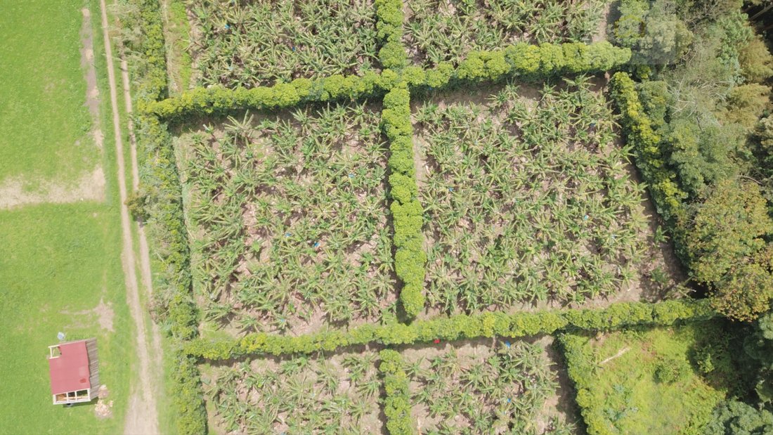 Land in Vila Franca do Campo (Sao Miguel), Azores, Portugal 2 - 12435300