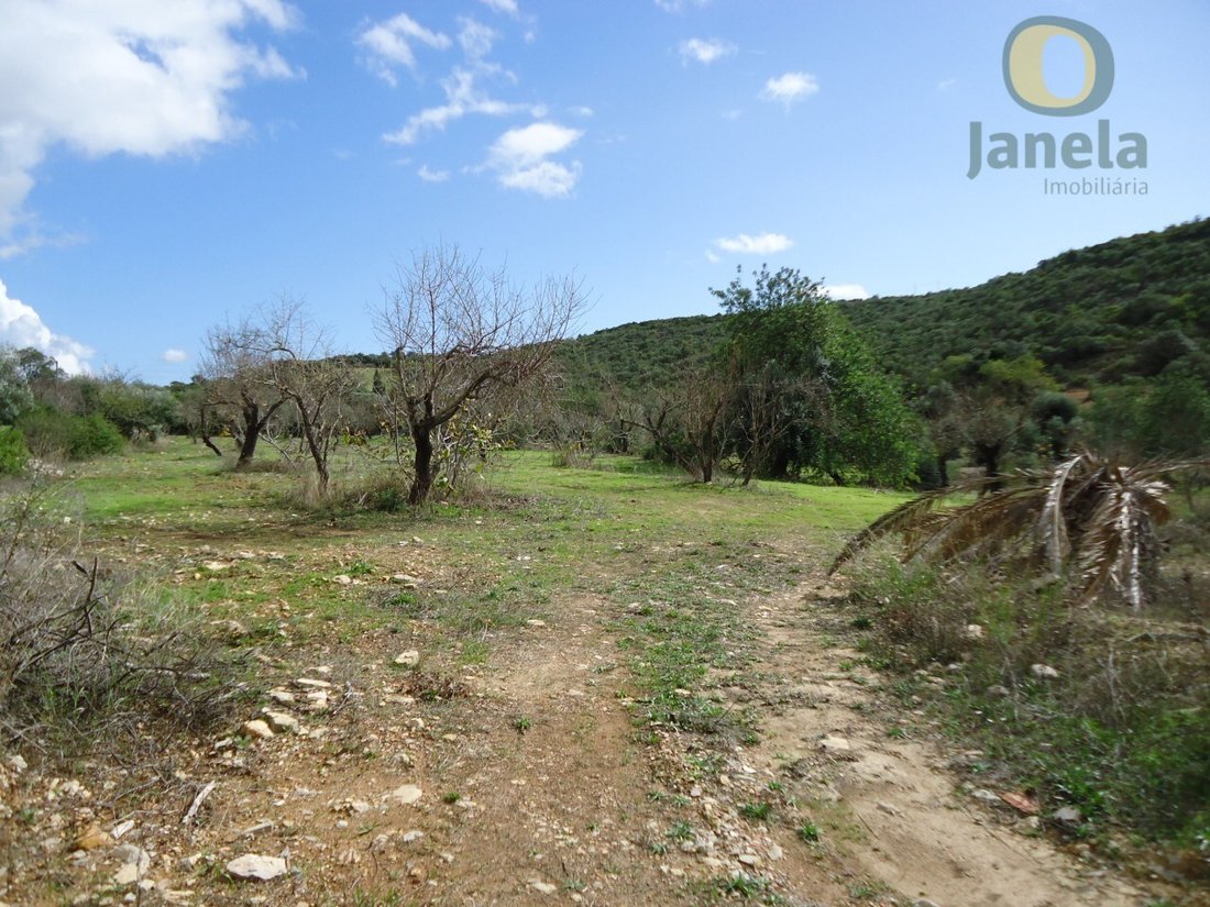 Land in Santa Barbara de Nexe, Algarve, Portugal 2 - 15711244