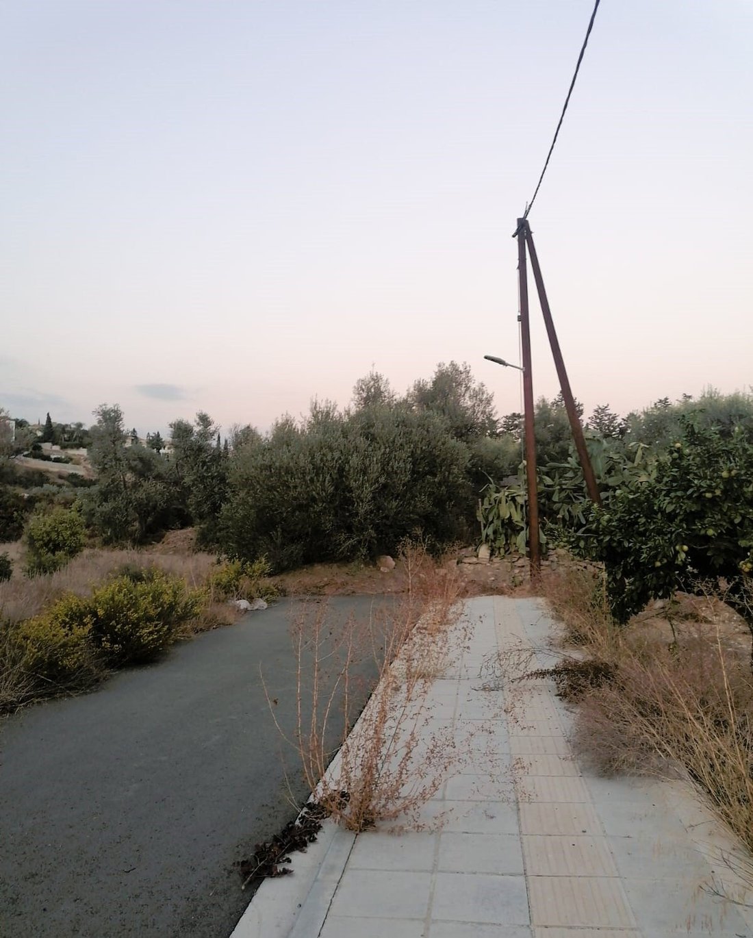 Germasogeia, Limassol, Cyprus 3 - 16712224