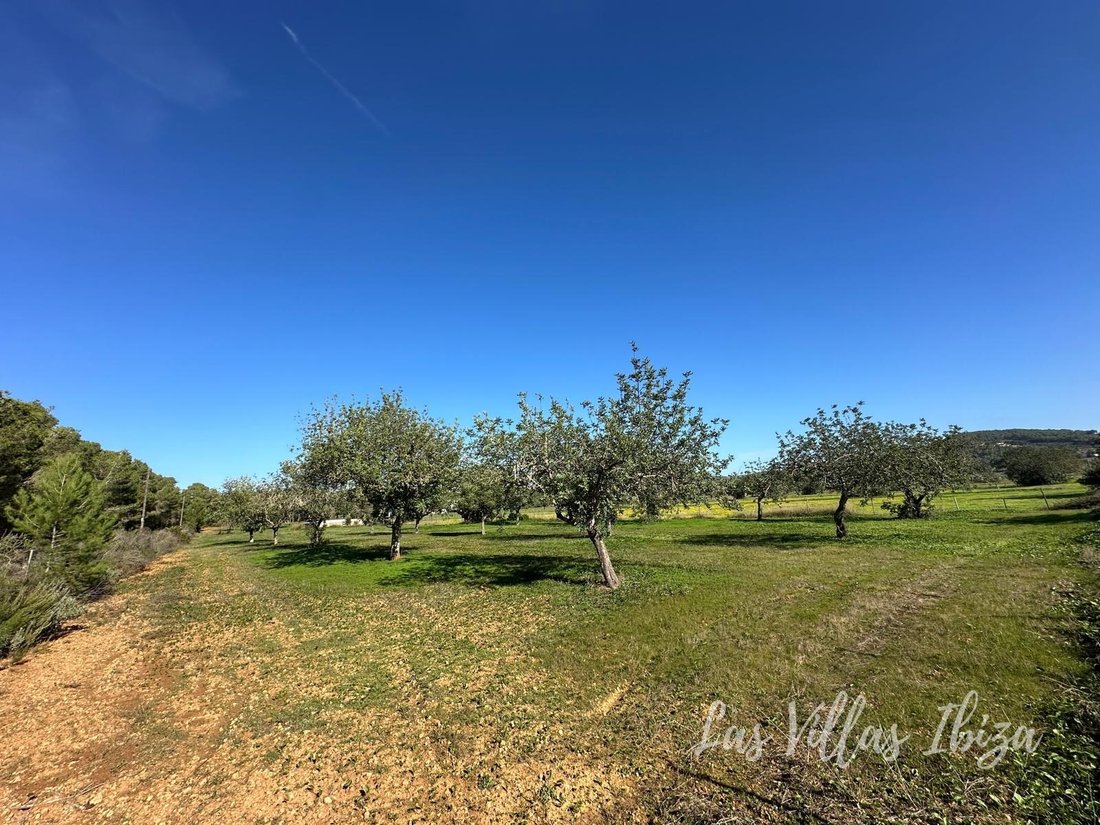 Land in Santa Gertrudis de Fruitera, Santa Eularia des Riu, Balearic Islands 4 - 16678326