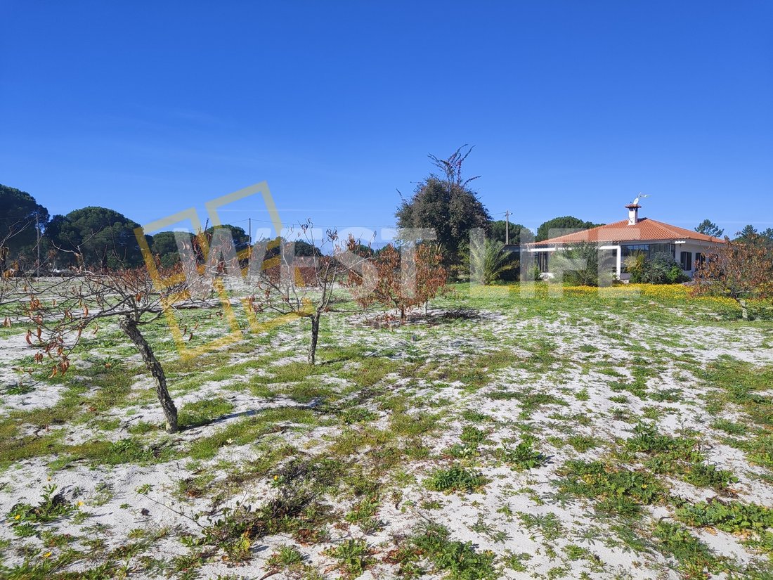 Tenuta a Torrão, Setúbal Municipality, Portogallo 3 - 14199735