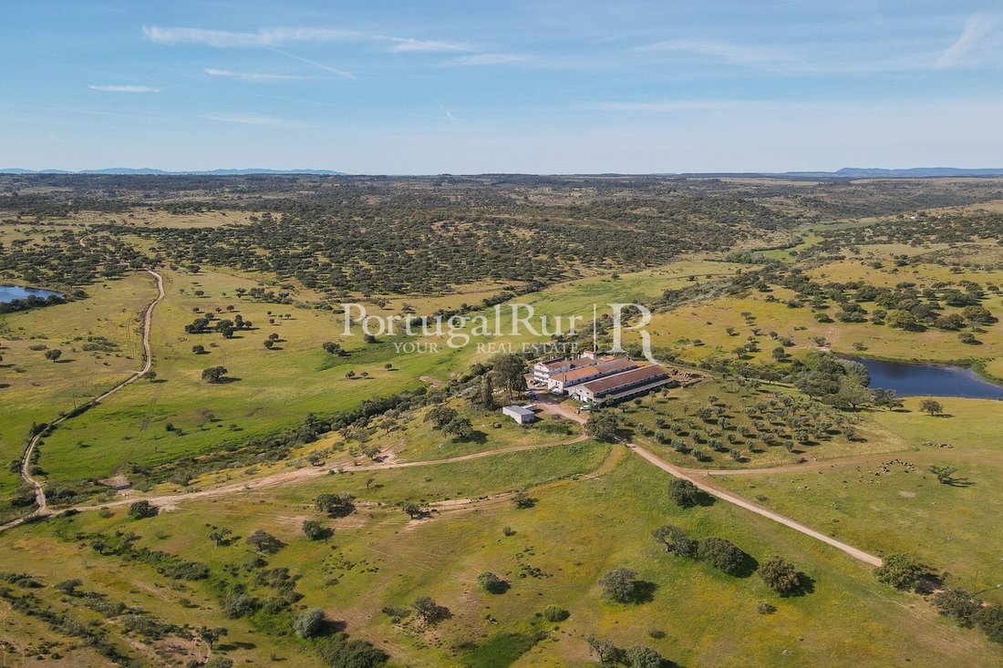 Estate in Monforte da Beira, Castelo Branco District, Portugal 4 - 14282501