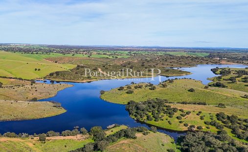 Domaine à Cabeça Gorda, Beja, Portugal 1