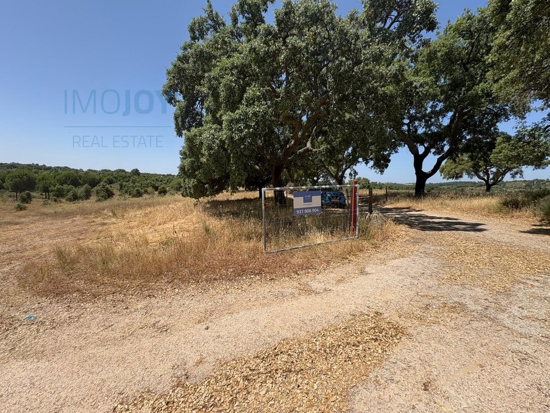 Land in Sao Vicente da Beira, Castelo Branco District, Portugal 1 - 14077852