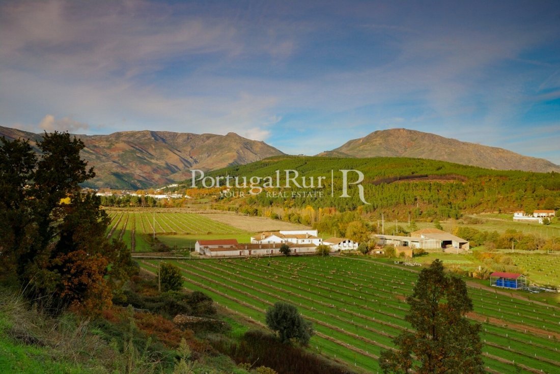 Finca in Covilha e Canhoso, Castelo Branco District, Portugal 5 - 14864363