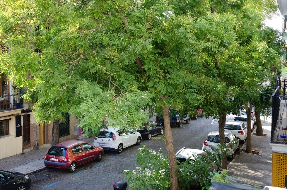 Apartment in Palma, Balearic Islands, Spain 5 - 16472598