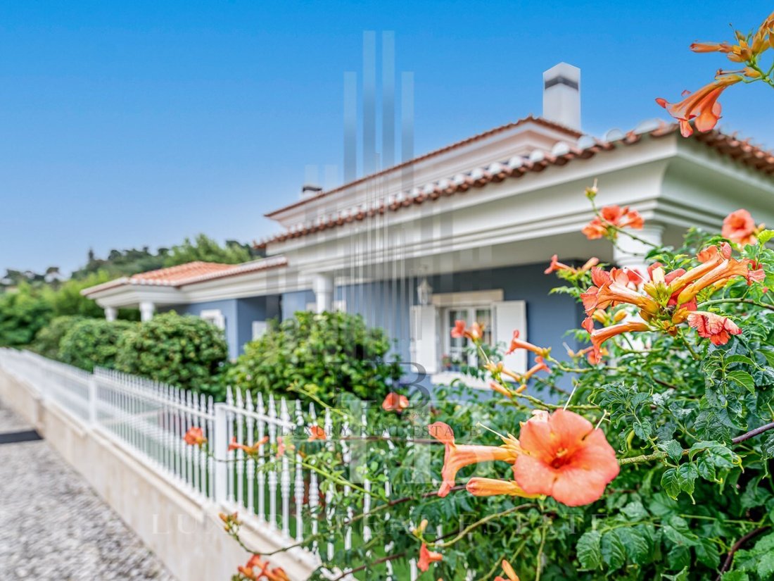 House in Sintra, Lisbon, Portugal 5 - 13038843