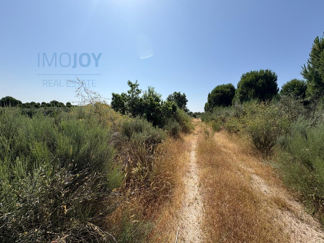 Land in Sao Vicente da Beira, Castelo Branco District, Portugal 5 - 14077852