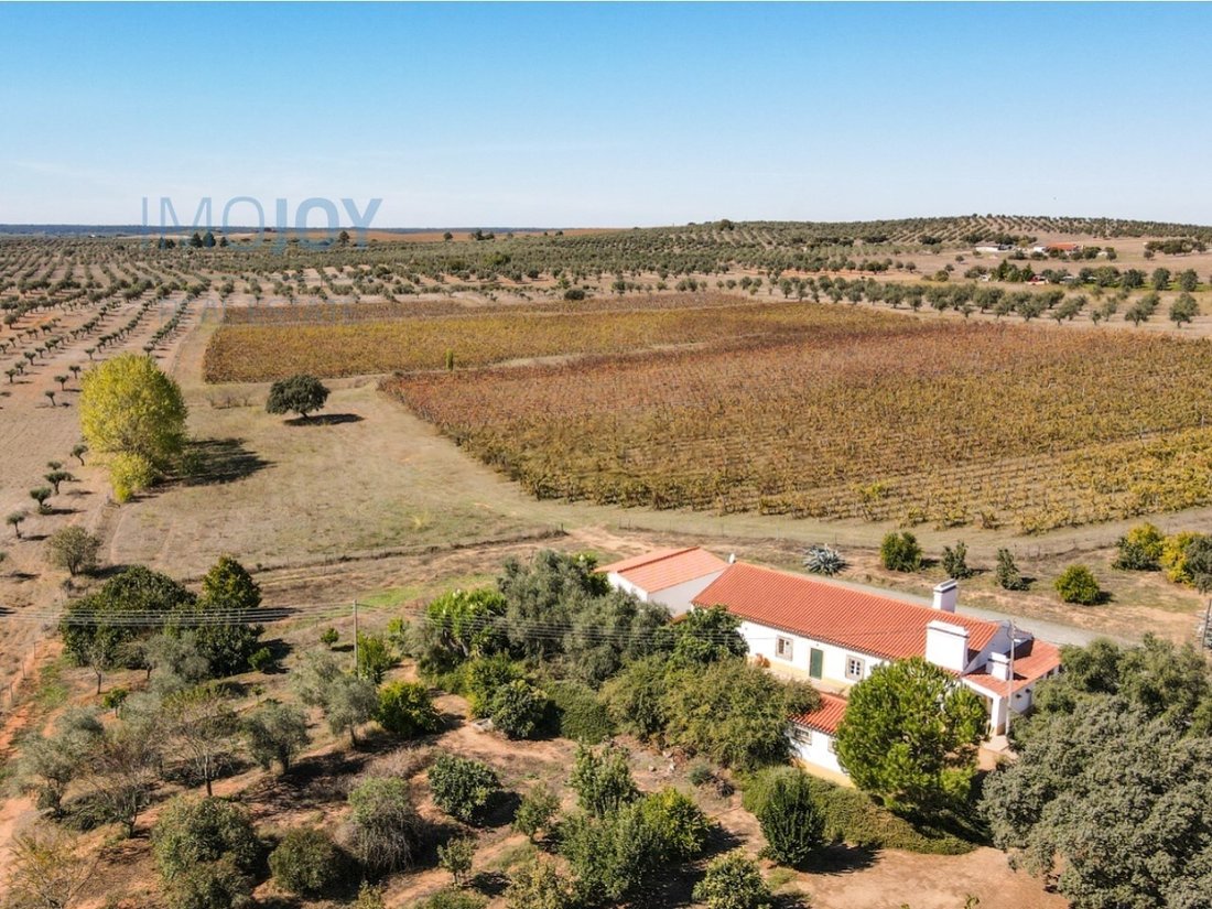 Finca in Avis, Portalegre District, Portugal 1 - 15396537