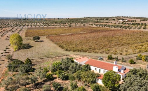 Finca in Avis, Portalegre District, Portugal 1