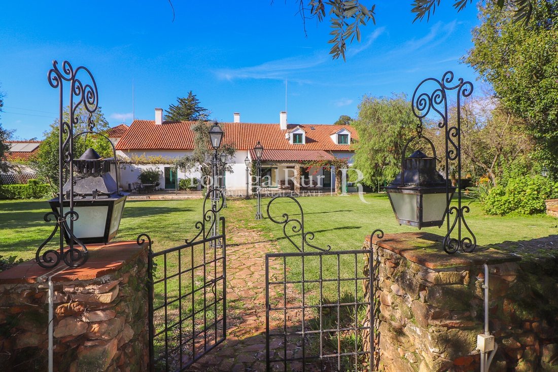 Finca in Torre de Coelheiros, Évora District, Portugal 3 - 14876442