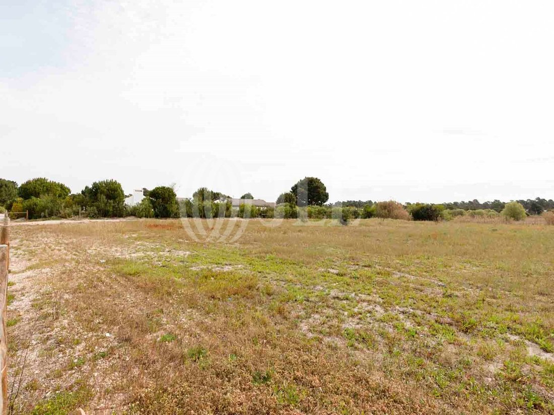 Land in Comporta, Setubal, Portugal 1 - 12675095