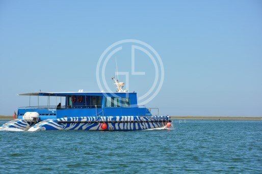 Land in Faro (Se e Sao Pedro), Algarve, Portugal 4 - 14707412