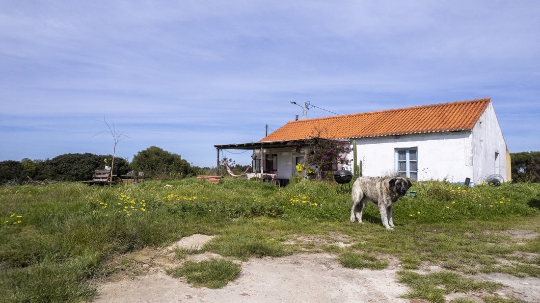 Finca in Rogil, Algarve, Portugal 1 - 16392689