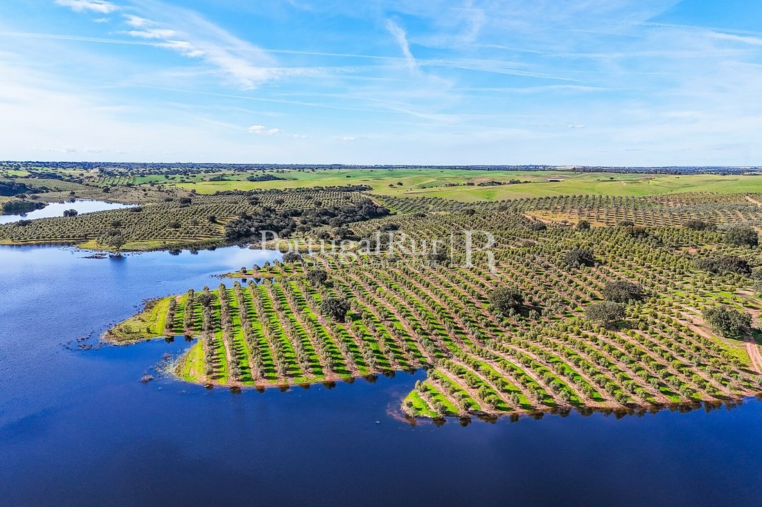 Estate in Cabeca Gorda, Beja District, Portugal 3 - 16472537