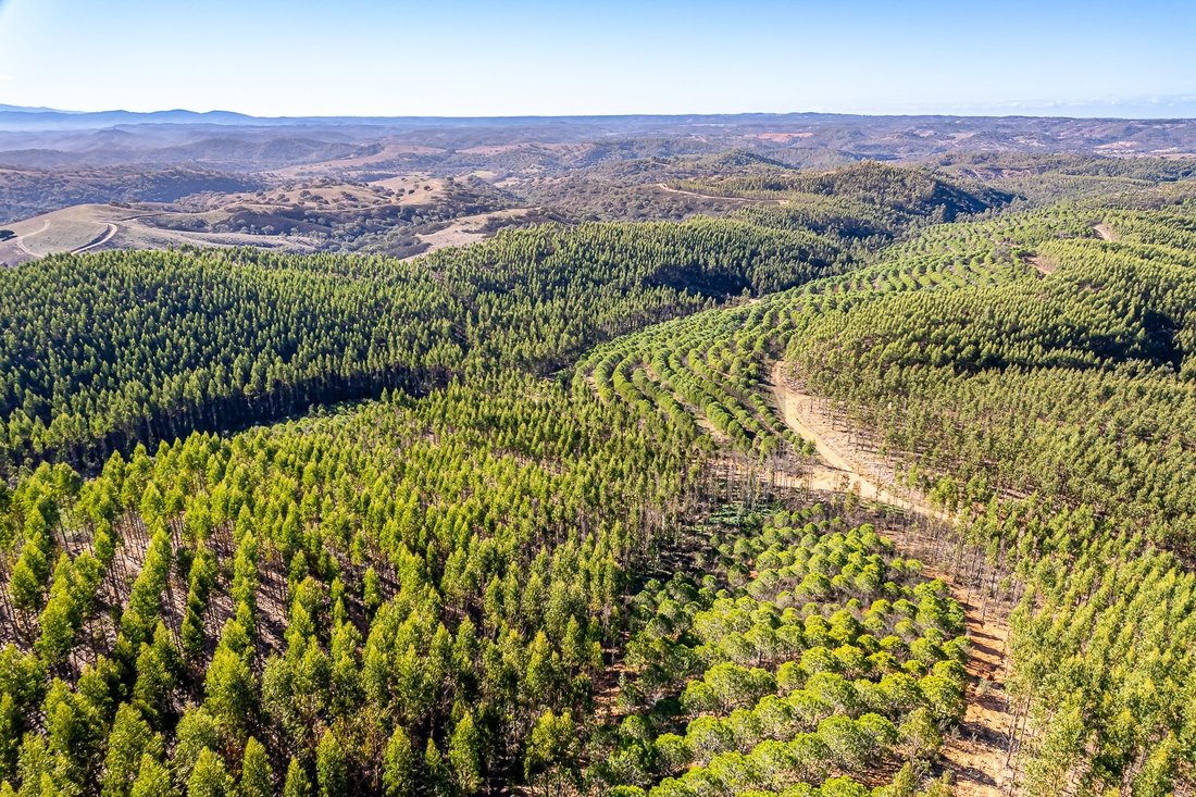 Land in Sao Salvador e Santa Maria, Beja District, Portugal 2 - 15306726