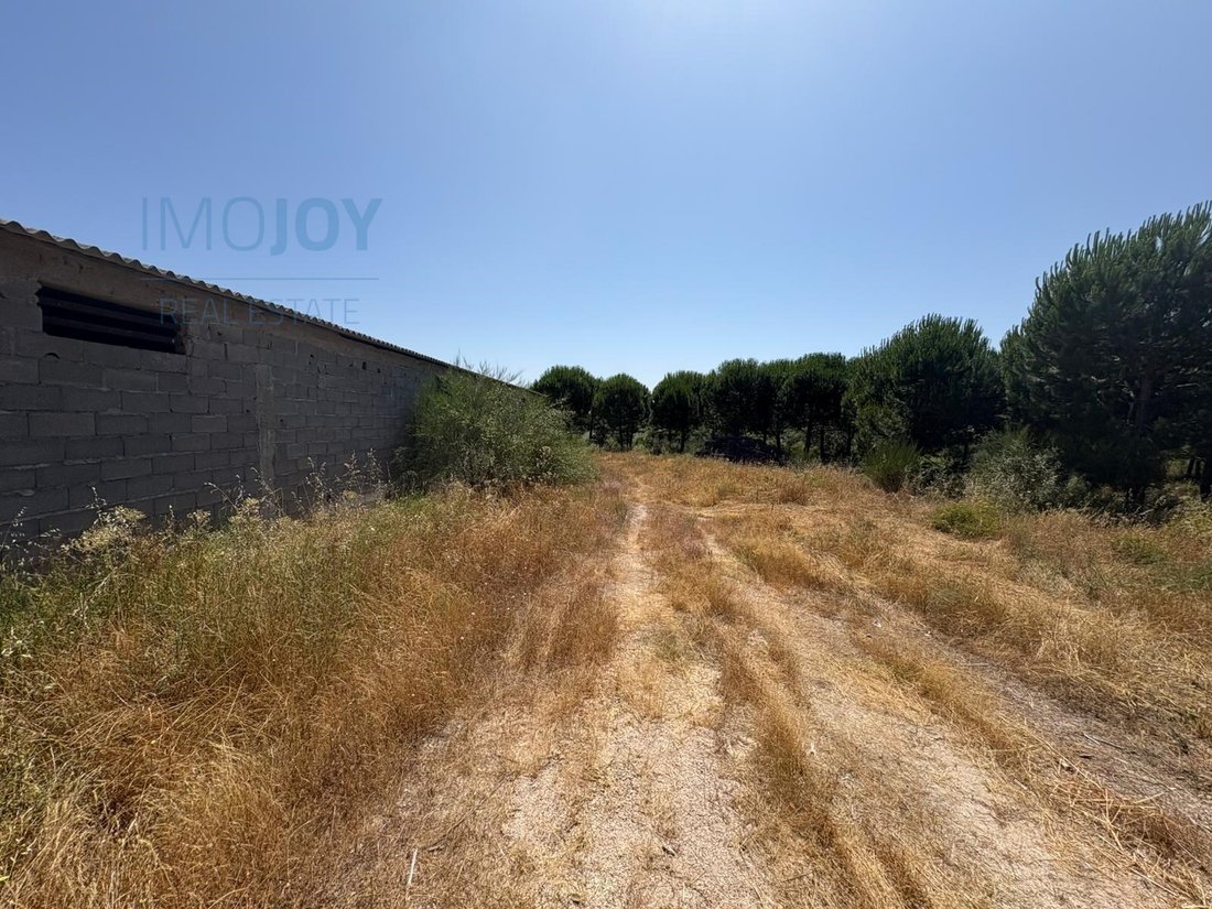 Land in Sao Vicente da Beira, Castelo Branco District, Portugal 3 - 14077852