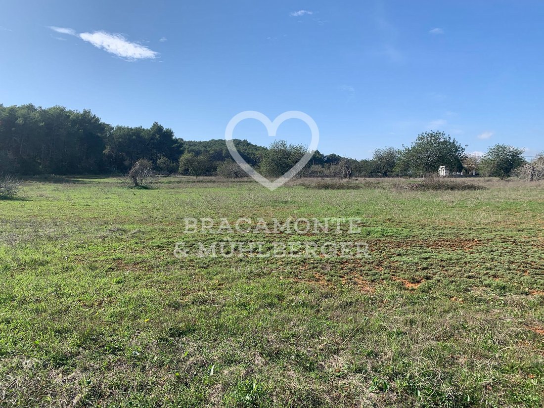 Land in Santa Gertrudis de Fruitera, Santa Eularia des Riu, Balearic Islands 1 - 14945104