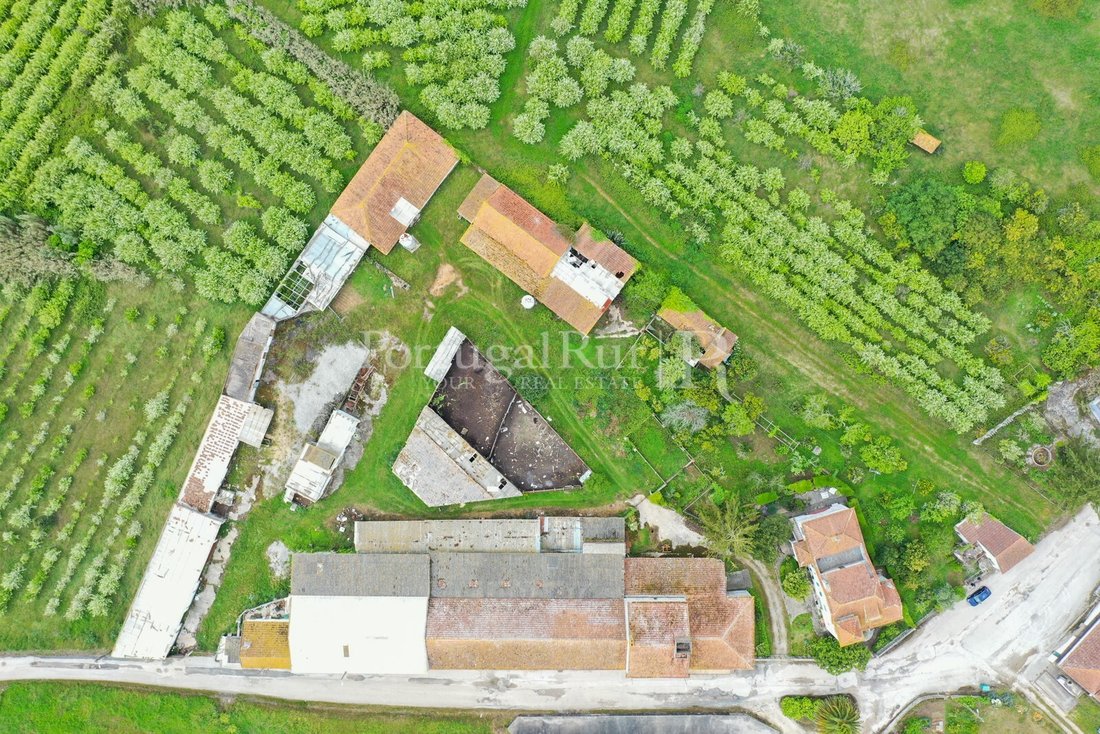 Finca in Carvide, Leiria District, Portugal 2 - 12795937