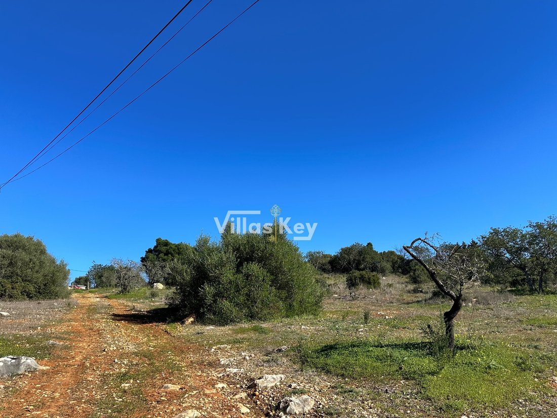 Land in Mexilhoeira Grande, Algarve, Portugal 4 - 15077507