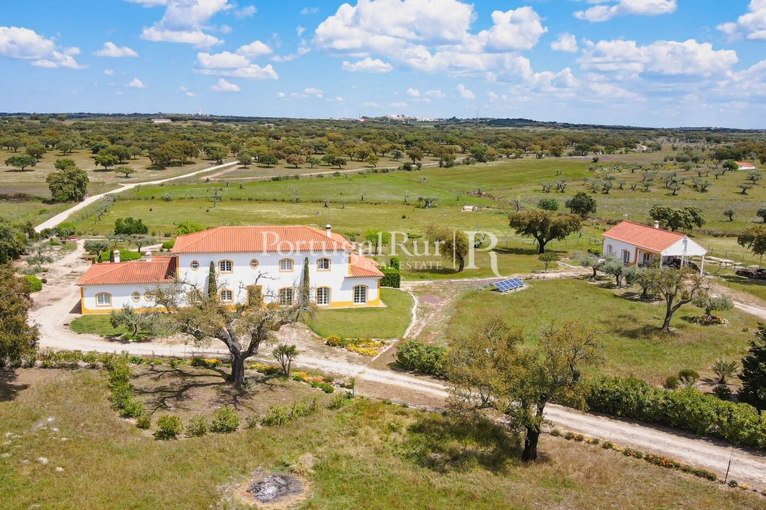 Finca in Pavia, Évora District, Portugal 3 - 14984050
