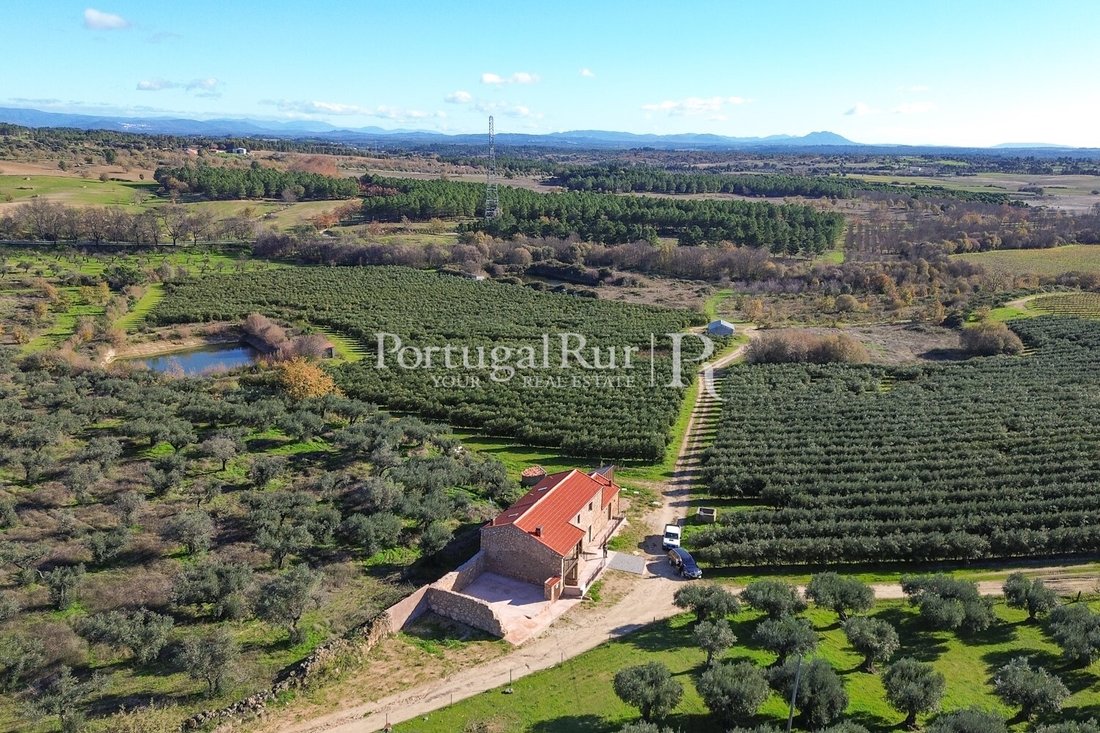 Finca in Vale de Prazeres e Mata da Rainha, Castelo Branco District, Portugal 1 - 15369971