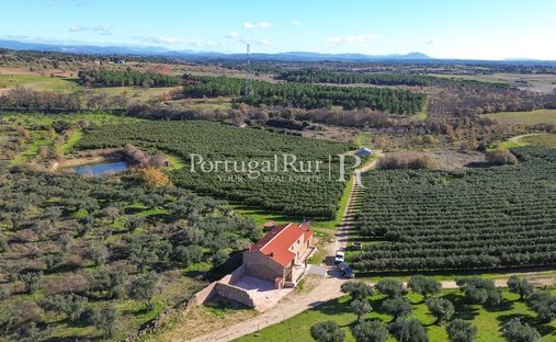Finca in Vale de Prazeres e Mata da Rainha, Castelo Branco District, Portugal 1
