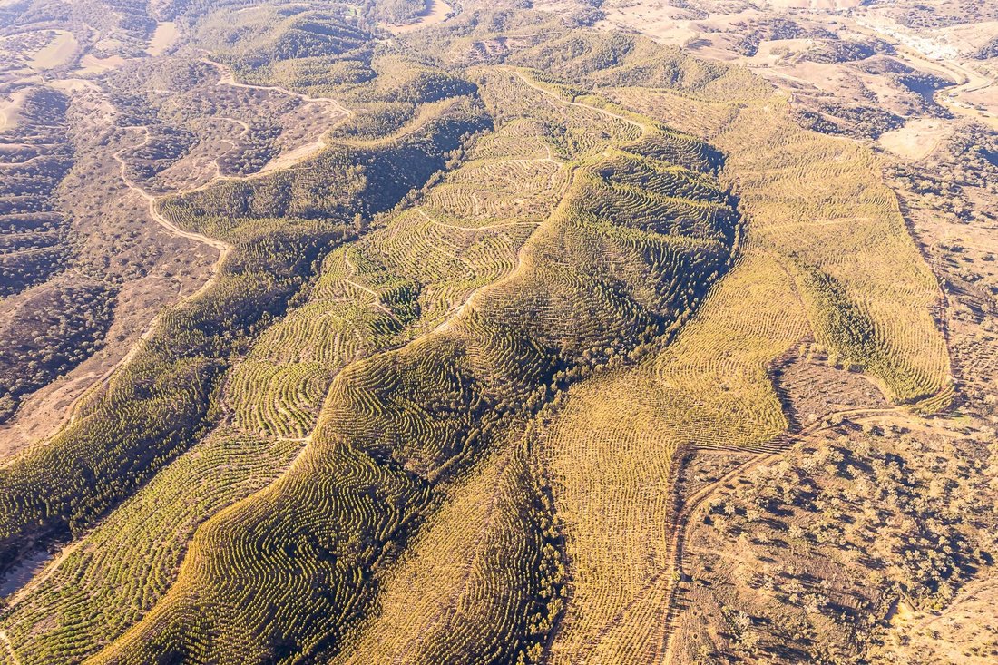 Land in Sao Salvador e Santa Maria, Beja District, Portugal 5 - 15306726