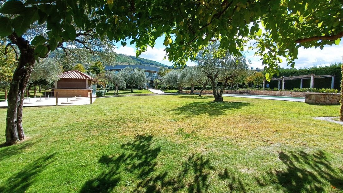Finca in Telhado, Castelo Branco District, Portugal 2 - 14818973