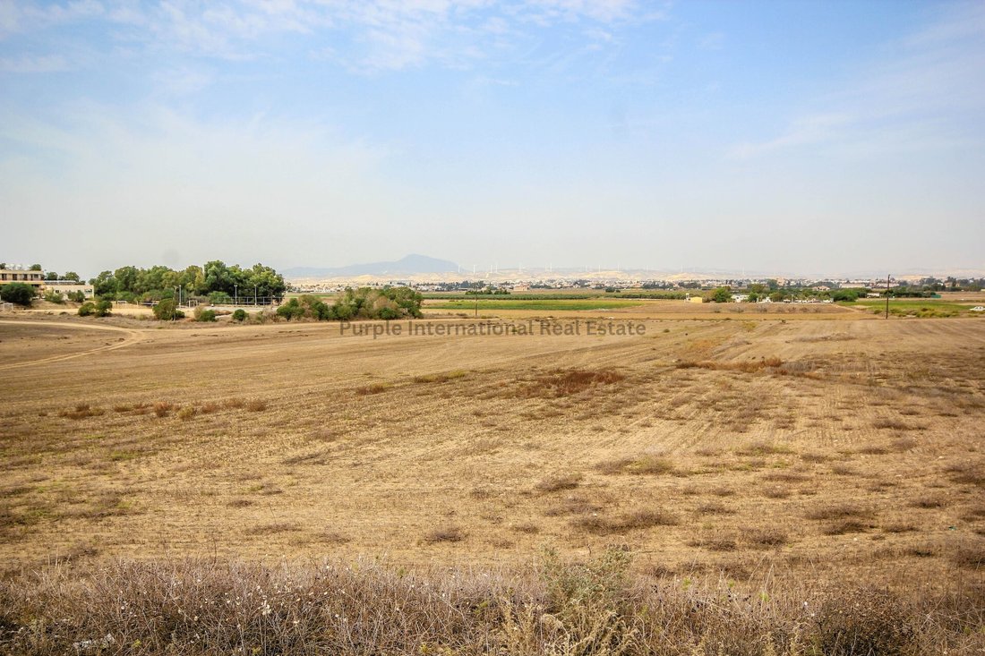 Land in Perivolia, Larnaca, Cyprus 5 - 16712042
